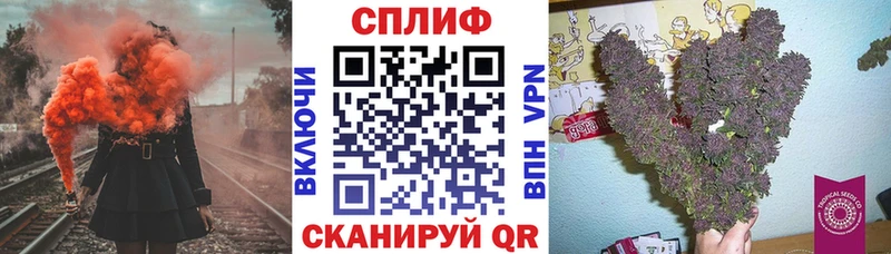 Шишки марихуана сатива  Купить закладки  Алушта 